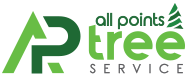 ALL POINTS TREE SERVICE | TREE SERVICE NEAR ME | TREE SERVICE IN TEXAS CITY | TREE SERVICE IN DICKINSON TX | TREE SERVICE IN LA MARQUE