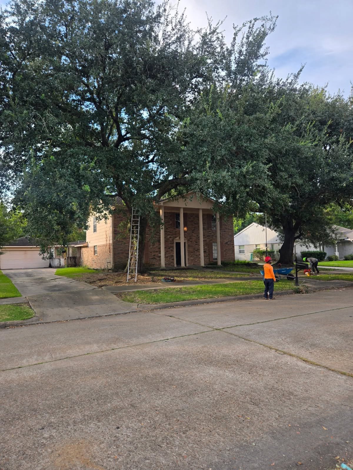 All Points Tree Service crew working on a residential tree