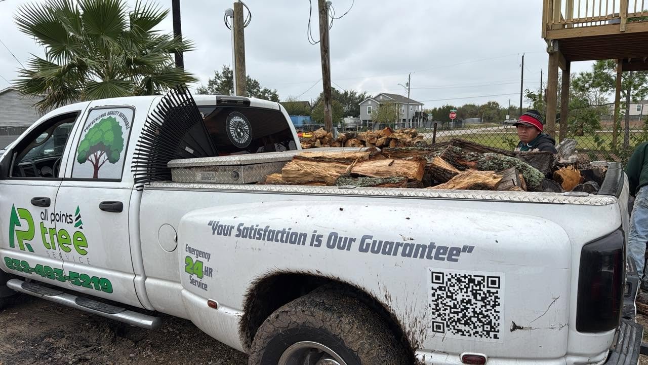 All Points Tree Service truck hauling cut tree sections